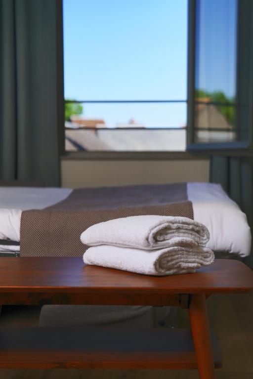 vue de l'hotel 4 étoile Maison Rabelais proche du Clos Lucé